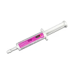 ELECTROLYTE ZIP SERINGUE horse master rapide