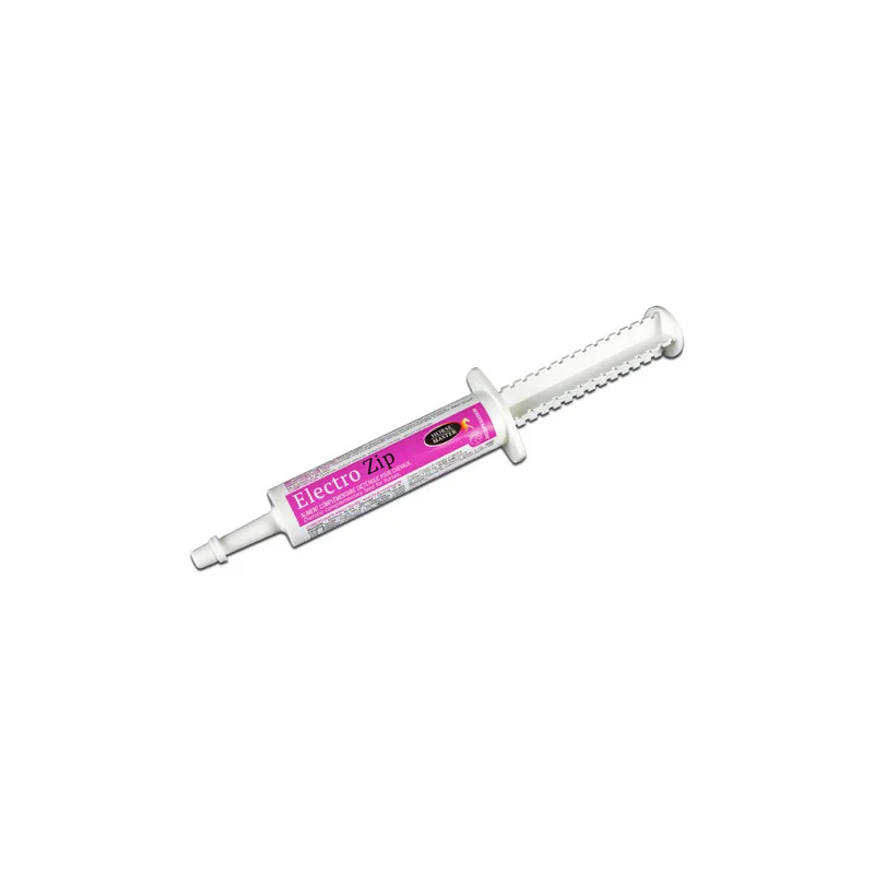 ELECTROLYTE ZIP SERINGUE horse master rapide
