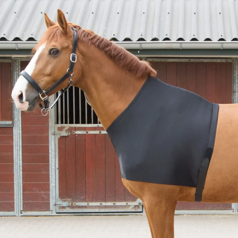 PROTEGE EPAULE NOIR HARRY HORSE