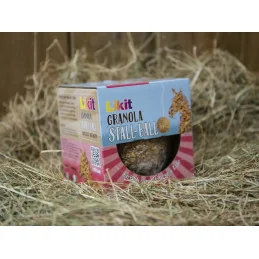LIKIT SNACK BALL 1.6KG