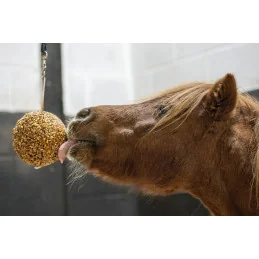 LIKIT SNACK BALL 1.6KG