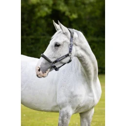 LICOL CUIR CAPELLA LEMIEUX
