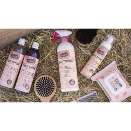 SHAMPOING EASY SHINE CHEVAUX GRIS 500ML