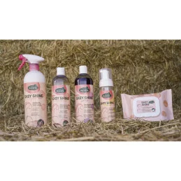 SHAMPOING EASY SHINE CHEVAUX GRIS 500ML