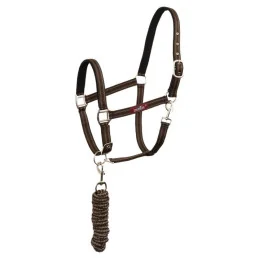 LICOL+LONGE PREMIERE SS23
