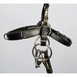 CAVECON BRIDON CUIR HARRY'S HORSE