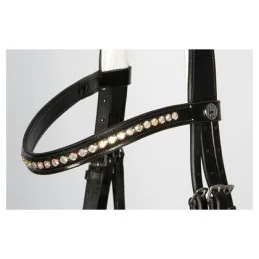BRIDON CHIQUE HARRY'S HORSE