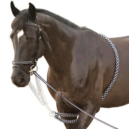 ENRENEMENT CORDE CANTER
