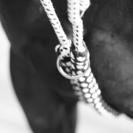 ENRENEMENT CORDE CANTER