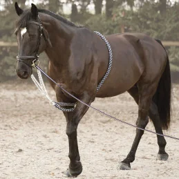 ENRENEMENT CORDE CANTER