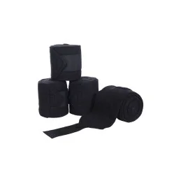 BANDES POLAIRES HKM