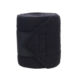 BANDES POLAIRES HKM