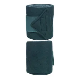 BANDES POLAIRES HKM