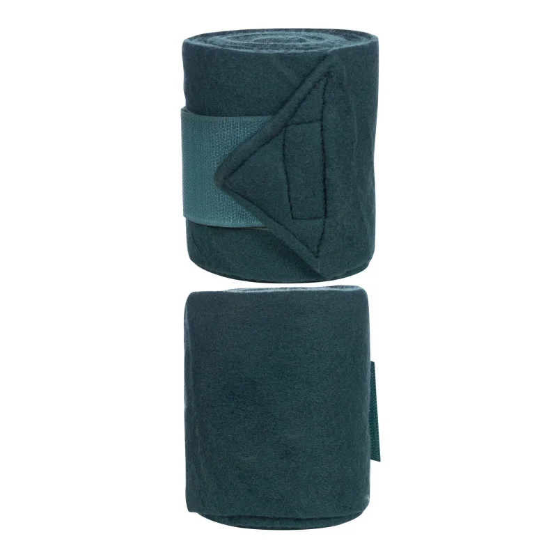 BANDES POLAIRES HKM