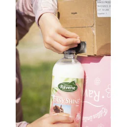 EASY SHINE RECHARGE 3L