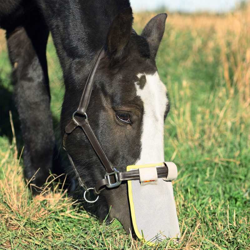 PROTECTION SOLAIRE DE NEZ EQUILIBRIUM