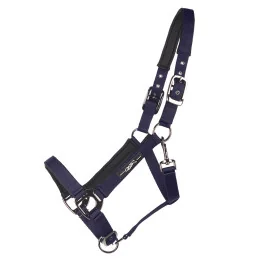 LICOL DELUXE QHP