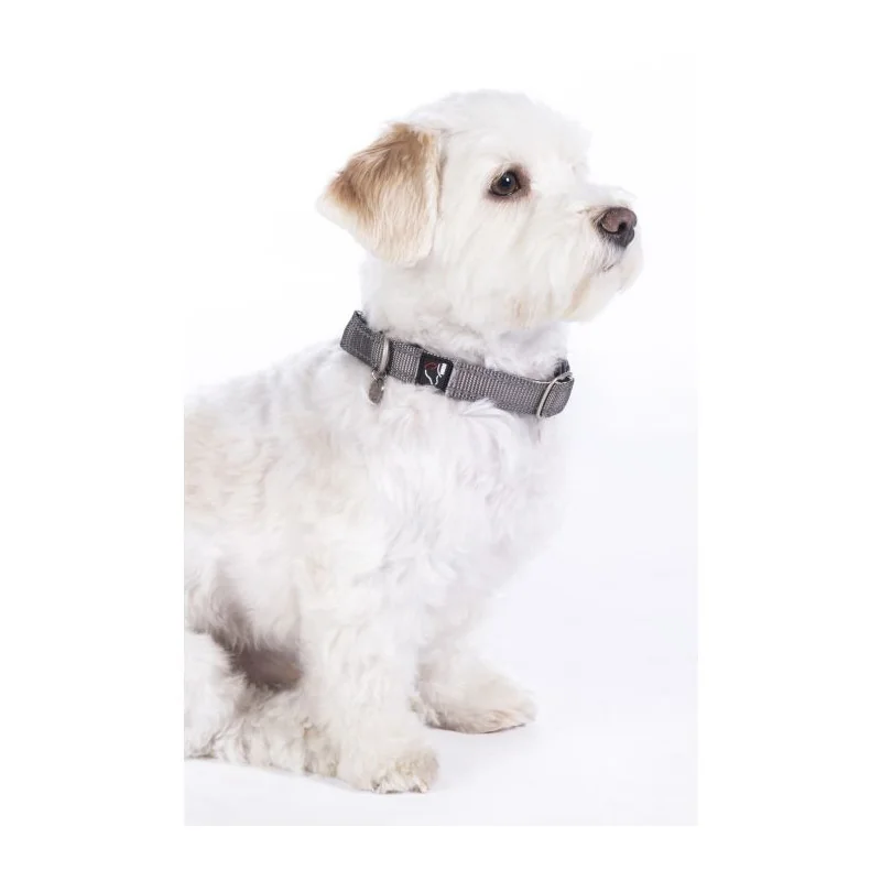 COLLIER CHIEN ANAM CARA HKM