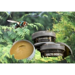 HALTE INSECTES 280ML UNGULA