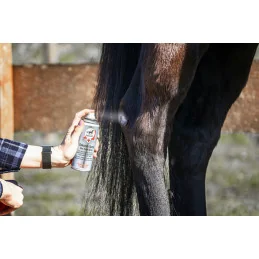 SPRAY SOIN DES PLAIES AU ZINC 200ML LEOVET