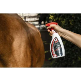 SPRAY REPULSIF POWER PHASER 550ML LEOVET