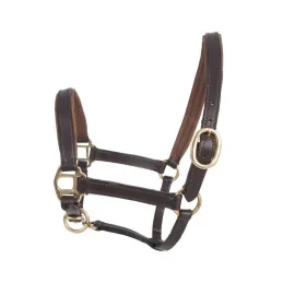 LICOL CUIR MINI OU POULAIN TDET