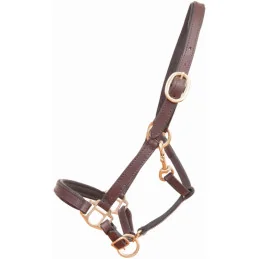 LICOL CUIR MINI OU POULAIN TDET