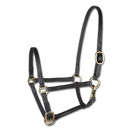 LICOL DE PRESENTATION WALDHAUSEN