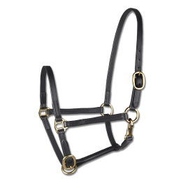 LICOL DE PRESENTATION WALDHAUSEN