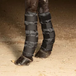 GUETRES REFROIDISSANTES X2 HARRY'S HORSE