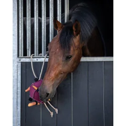JOUET POUR CHEVAUX BALLE QHP
