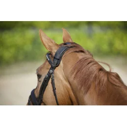 PROTEGE NUQUE BACK ON TRACK