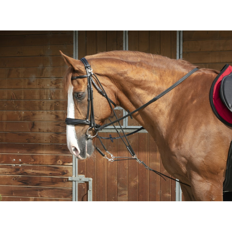 GOGUE À POULIE NORTON PRO