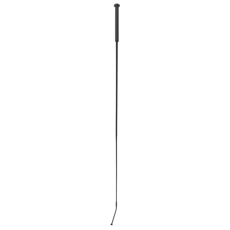 STICK DRESSAGE WHIP&GO