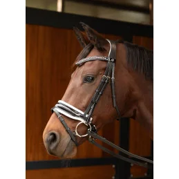 BRIDON CHIQUE HARRY'S HORSE