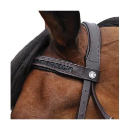 BRIDON BLACK STRASS CANTER