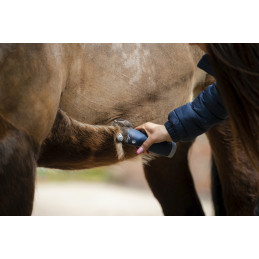 TONDEUSE SANS FIL ECLIPSE LISTER