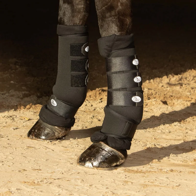 GUETRES DE REPOS/ECURIE HARRY'S HORSE