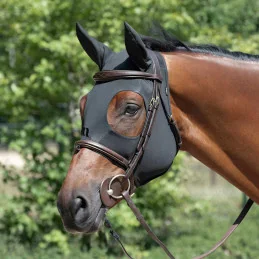 MASQUE APAISANT BACK ON TRACK