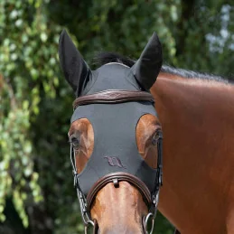 MASQUE APAISANT BACK ON TRACK