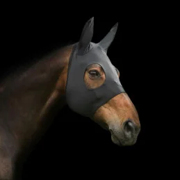 MASQUE APAISANT BACK ON TRACK