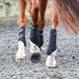 GUETRE DRESSAGE EQUILIBRIUM NOUVELLE VERSION