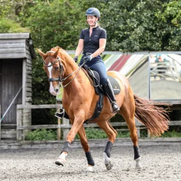 GUETRE DRESSAGE EQUILIBRIUM NOUVELLE VERSION