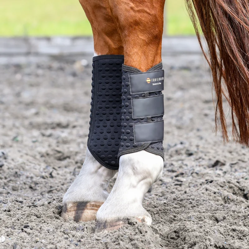 GUETRE DRESSAGE EQUILIBRIUM NOUVELLE VERSION