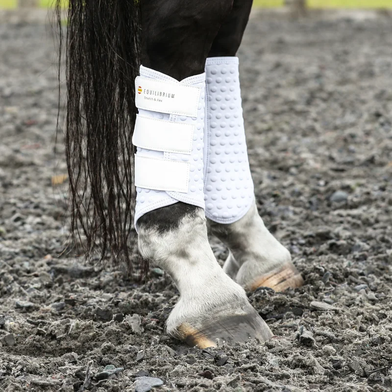 GUETRE DRESSAGE EQUILIBRIUM NOUVELLE VERSION