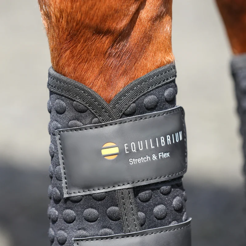 GUETRE DRESSAGE EQUILIBRIUM NOUVELLE VERSION