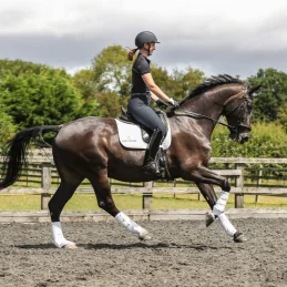 GUETRE DRESSAGE EQUILIBRIUM NOUVELLE VERSION