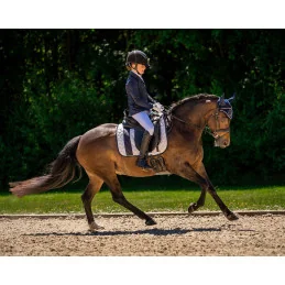 VESTE CONCOURS KAE QHP