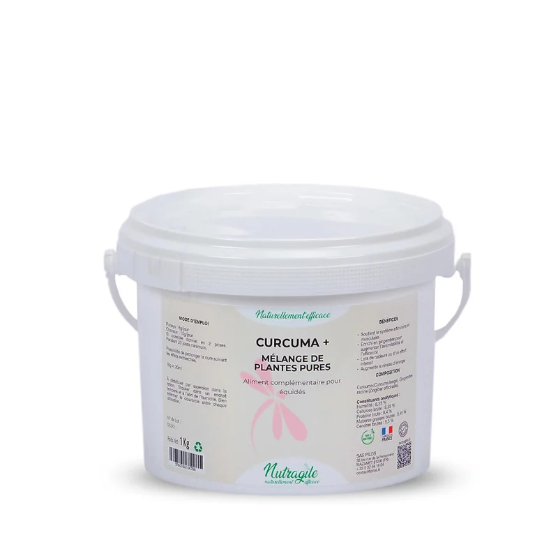CURCUMA + 1KG NUTRAGILE