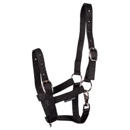 LICOL POULAIN HARRY'S HORSE